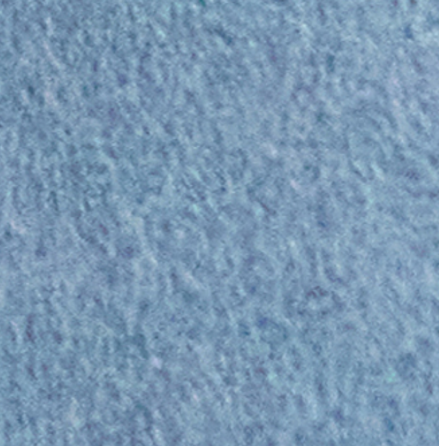 Indigo Rinse