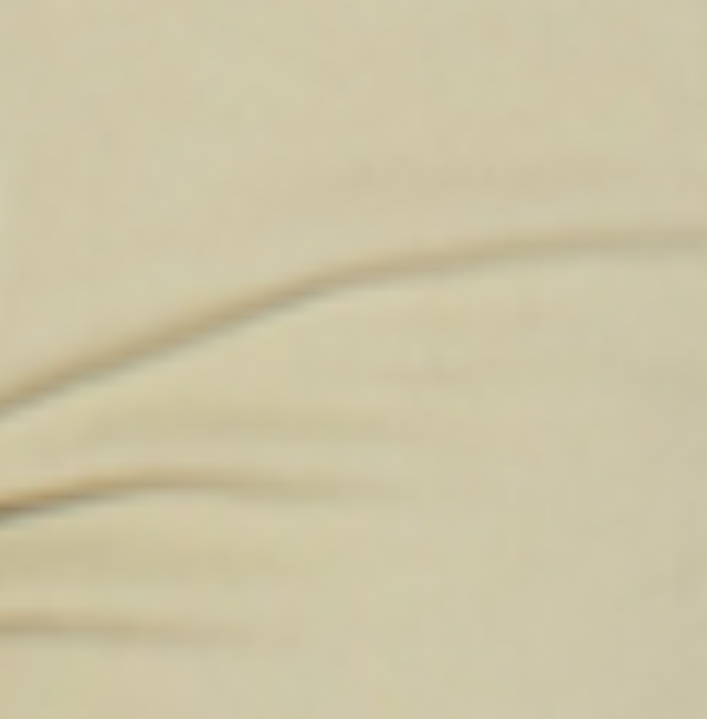 Lint